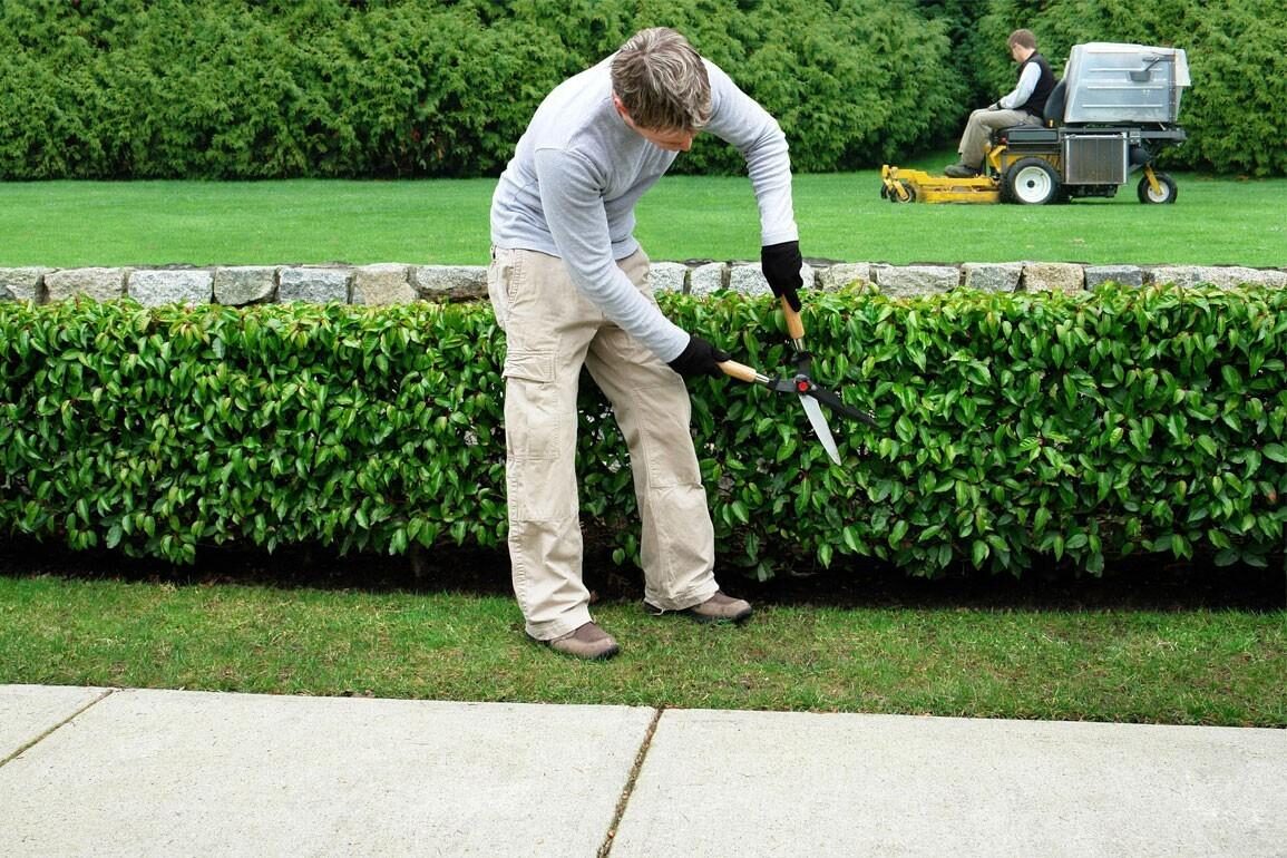 Gardening