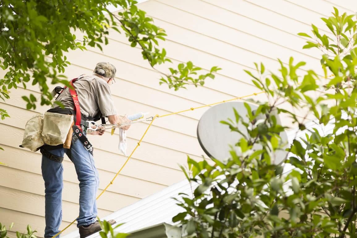 Moss and mould removal